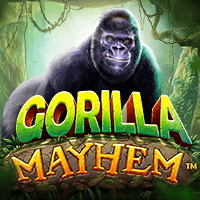 Slot Gacor Gorilla Mayhem Pragmatic Play