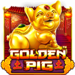 Golden Pig