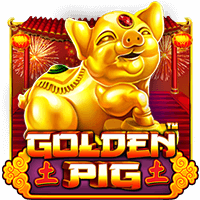 Slot Gacor Golden Pig Pragmatic Play