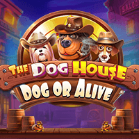 Slot Gacor The Dog House – Dog or Alive Pragmatic Play